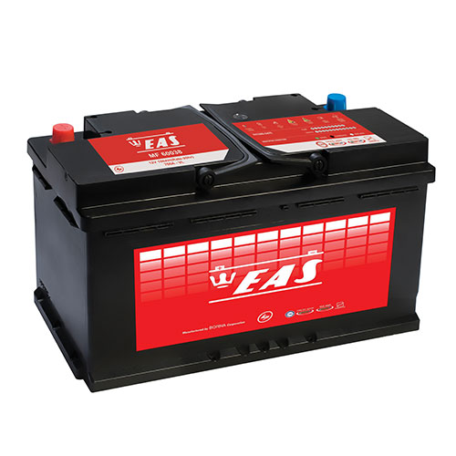 eas 100 ampere truck battery