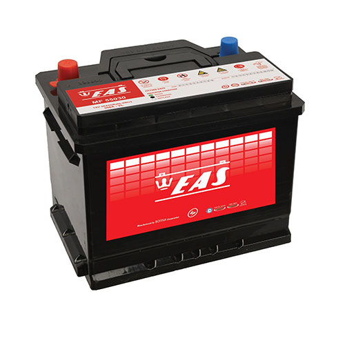 eas 50 ampere L2