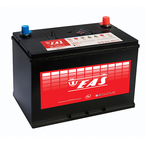 eas 90 ampere truck battery