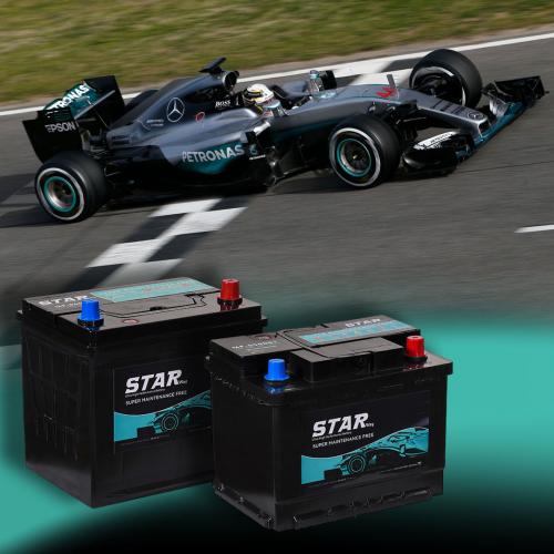 Starway Battery